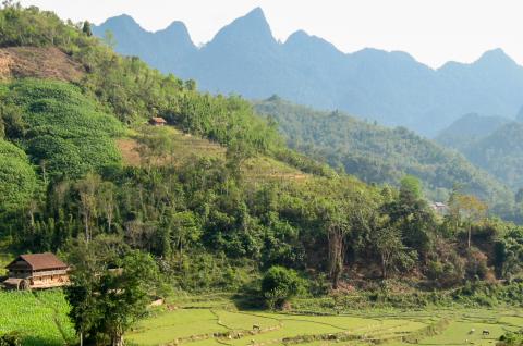 Randonnée dans les montagnes des Alpes Tonkinoises au nord-ouest du Vietnam